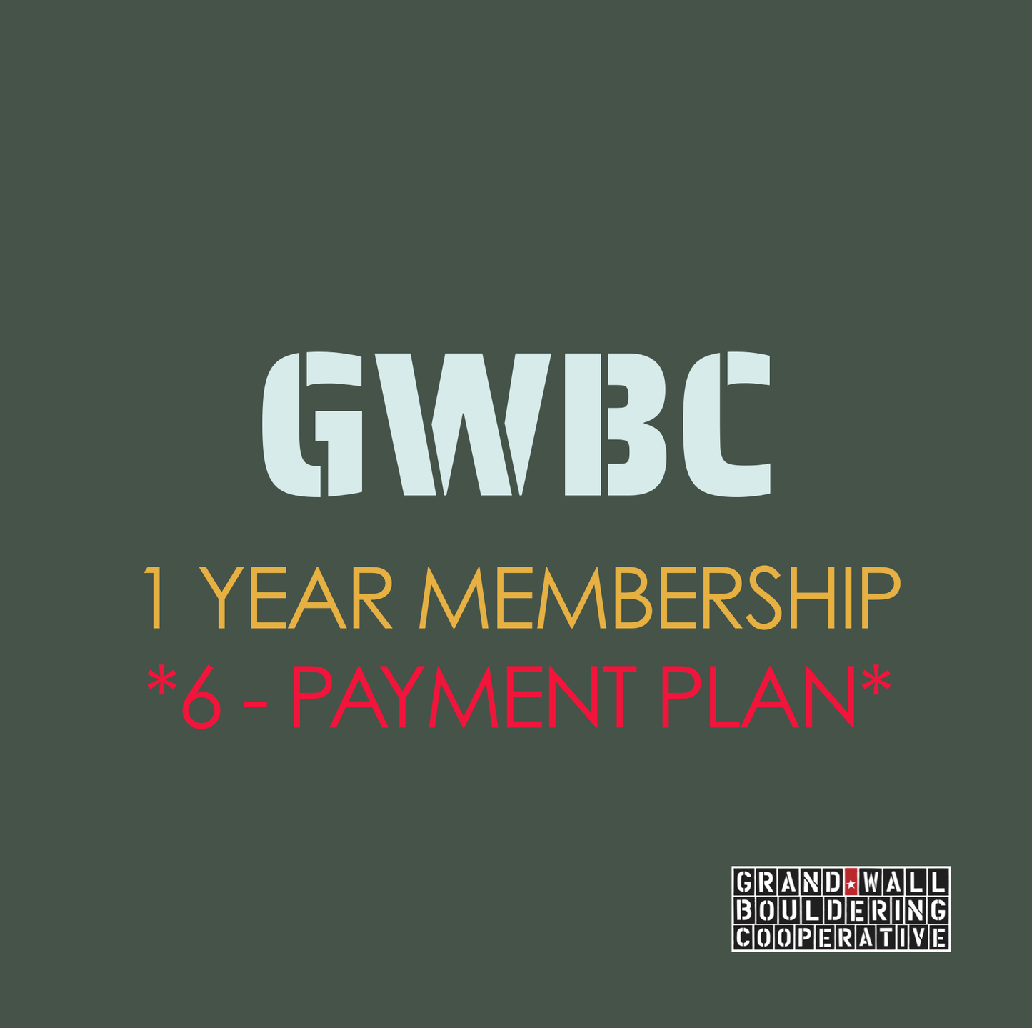 1 Year Membership (6 - Payment Plan)